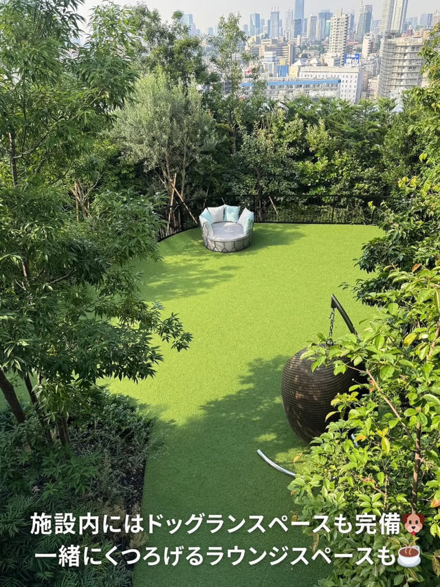 【東京】愛犬と泊まれる絶景ホテル