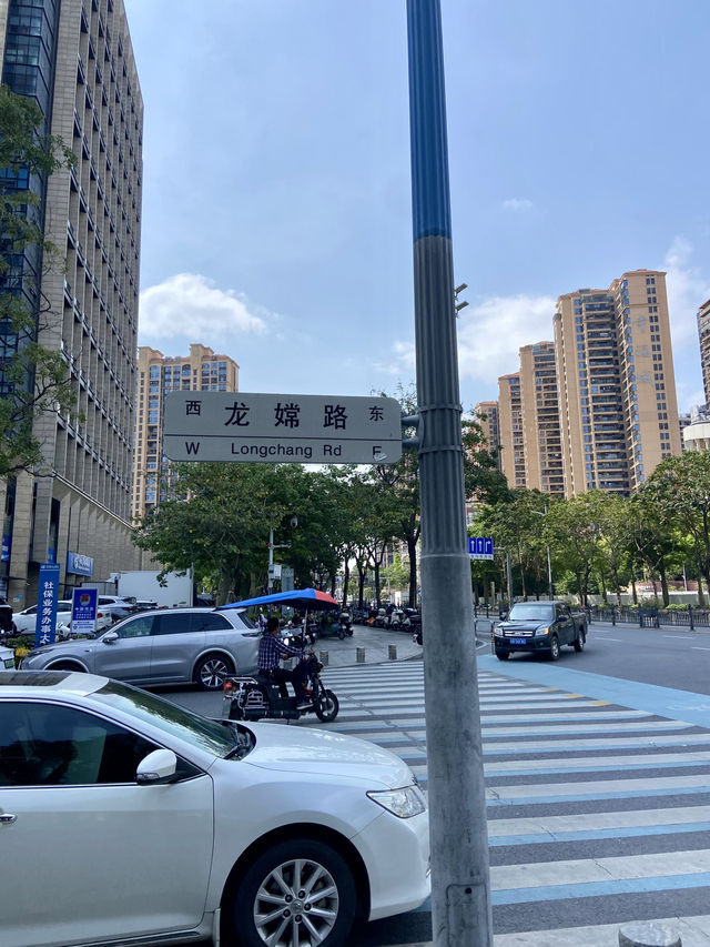 探尋深圳龍華的魅力✨💕日遊行程推薦🚶🏼🌴  