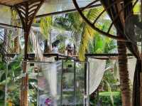 คาเฟ่ในสวนมะพร้าว บ้านสวนพาฝัน