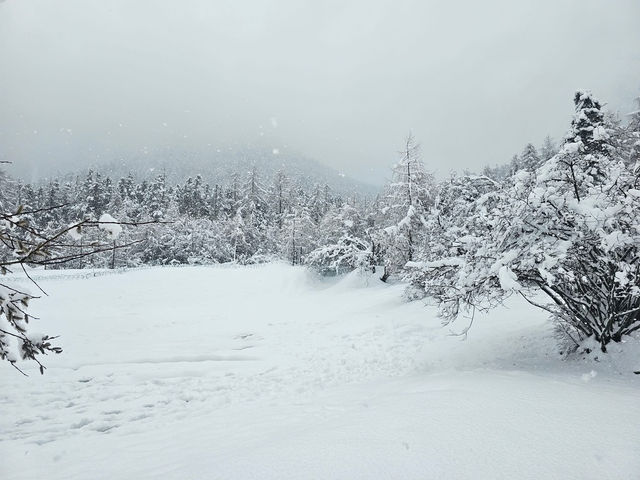 Hidden paradise in Sichuan.-Bipenggou