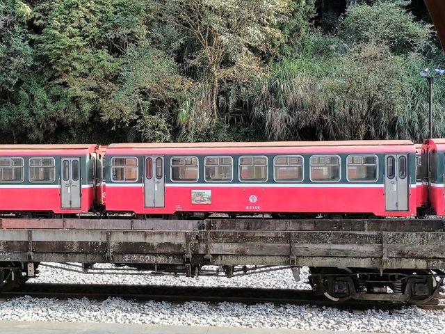 # 阿里山車站-嘉義縣阿里山鄉