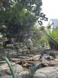長江公園｜香港偽櫻花