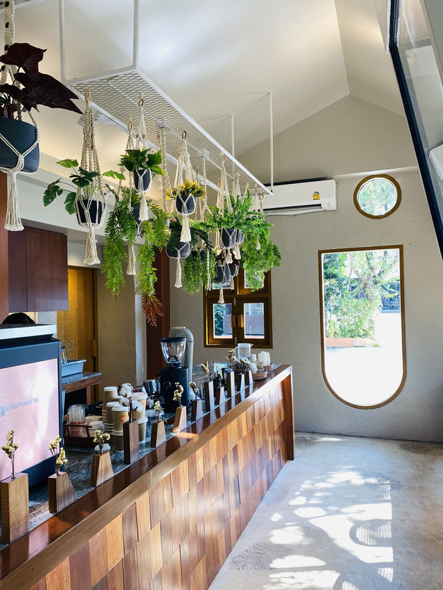 ร้าน MUUSE cafe x bar คาเฟ่สายชิล เชียงราย