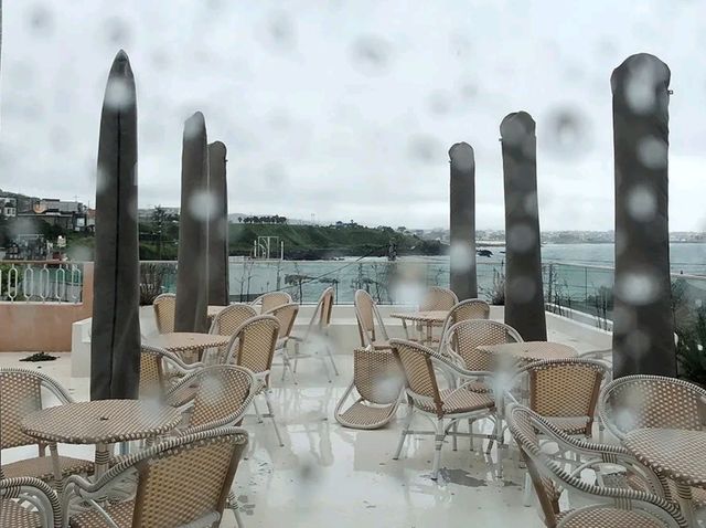 콜린 제주