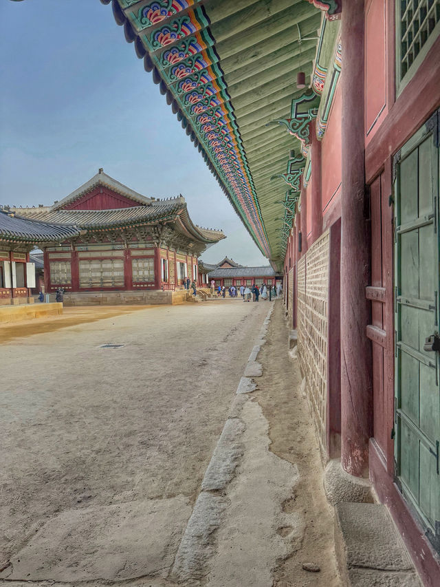 A Royal Winter Stroll: Discovering Gyeongbokgung Palace in December