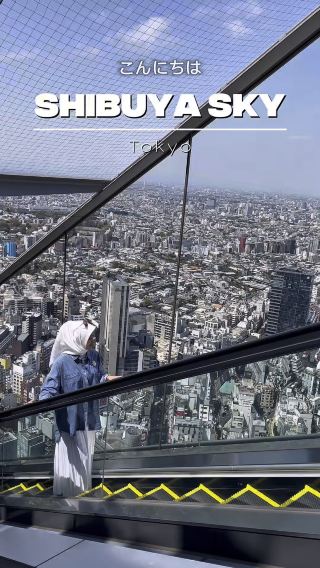 Tokyo from Above (Shibuya Sky)
