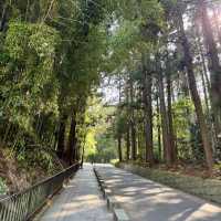 絶対に行って欲しい仙台3日間の旅行体験！