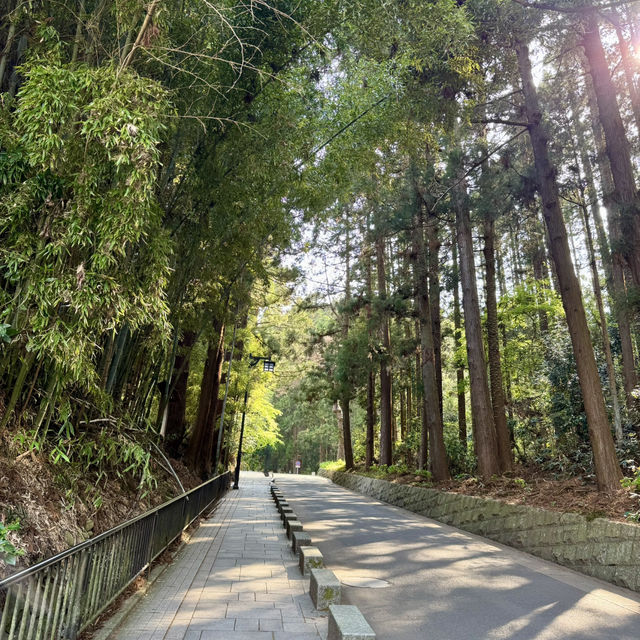 絶対に行って欲しい仙台3日間の旅行体験！