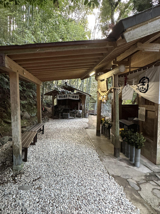 【熊本旅行】竹林に囲まれた知る人ぞ知るパワースポット神社⛩