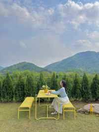 가족끼리 보내는 숲을 품은 고요한 자연에서의 하루 🕊️✨🌿