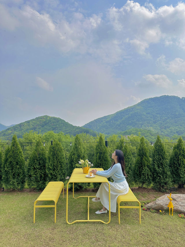 가족끼리 보내는 숲을 품은 고요한 자연에서의 하루 🕊️✨🌿
