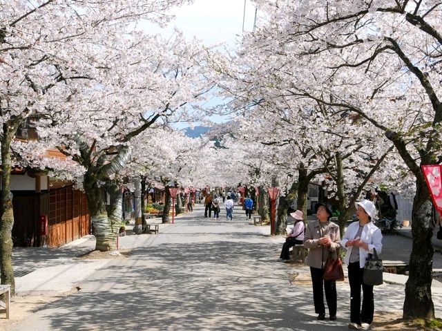 Okayama – Where Castles, Gardens & Legends Bloom