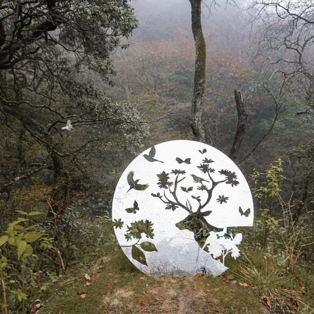 "Rokko Meets Art" งานศิลปะท่ามกลางธรรมชาติ🌿