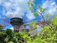 Gardens by the Bay – Singapore’s Futuristic Eden