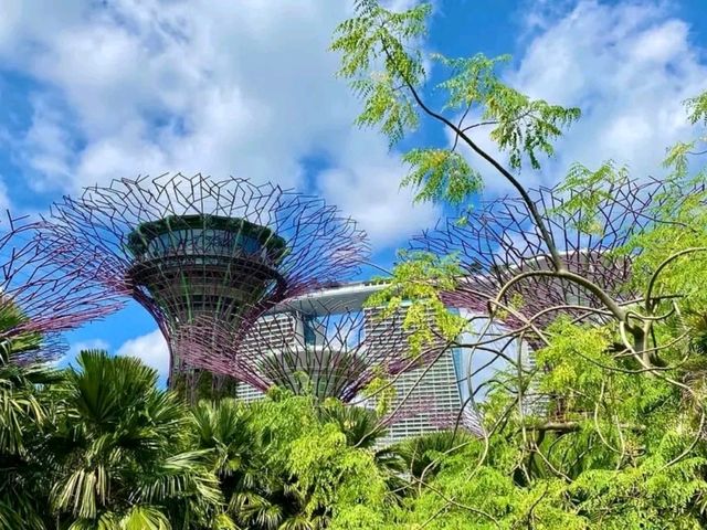 Gardens by the Bay – Singapore’s Futuristic Eden