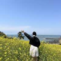 바다가 보이는 유채꽃밭, 부안 수성당