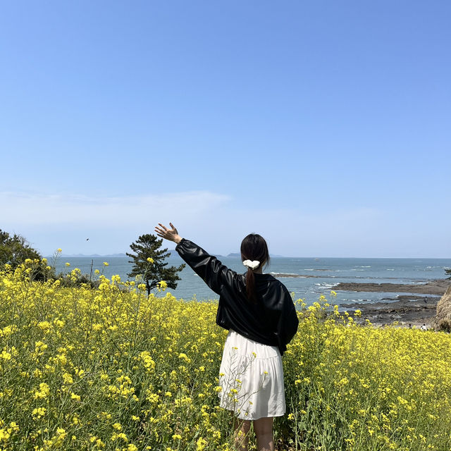 바다가 보이는 유채꽃밭, 부안 수성당