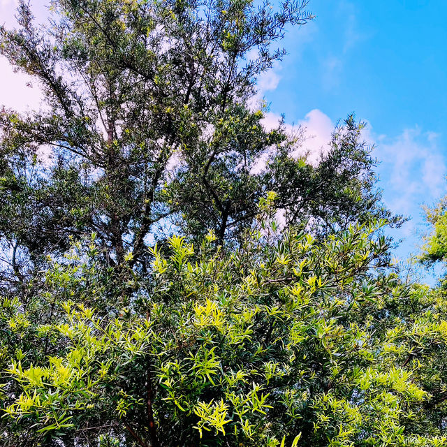  “Weekend Escape to Taman Saujana Hijau: A Lush Green Retreat in Putrajaya”