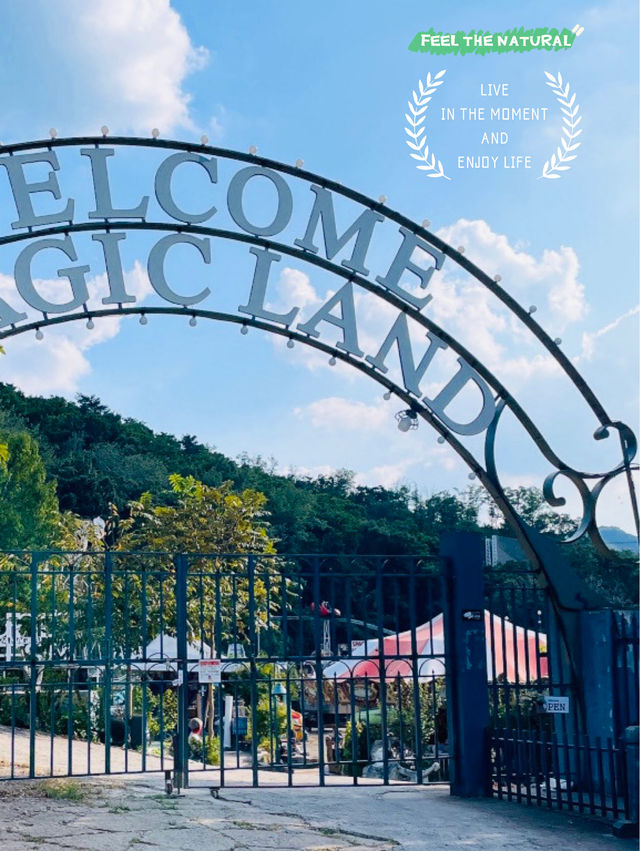 A Journey Through Time: Yongma Land, Seoul