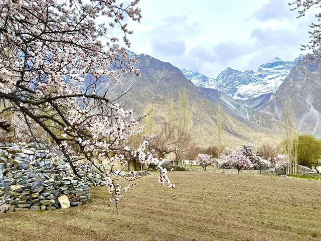 Lost in the mountains, found in moment