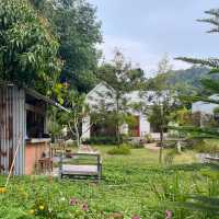 โฮมคาเฟ่หลังเล็กๆท่ามกลางธรรมชาติ 🌳 จันทบุรี