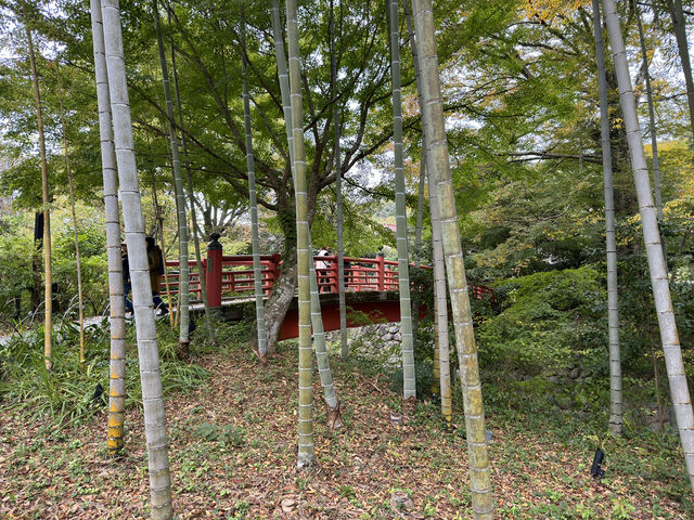Kaede Bridge: A Tiny Slice of Izu's Timeless Charm
