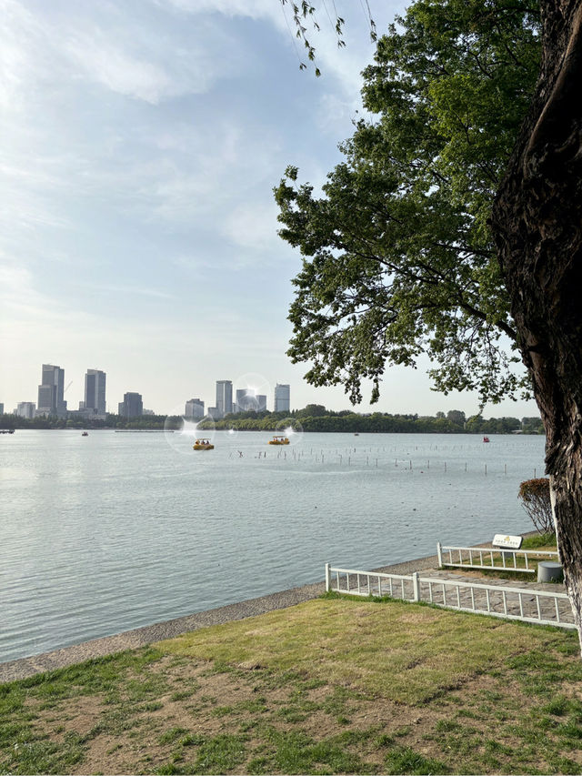 บรรยากาศเย็นสบายที่ Xuanwu Lake บรรยากาศเย็นสบายที่ Xuanwu Lake