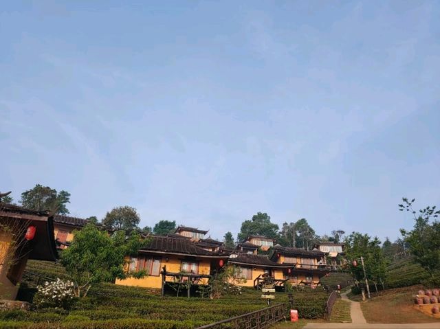 รีวิว ลีไวน์รักไทย รีสอร์ท | แม่ฮ่องสอน 🛖🏞