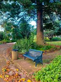 Arderne Gardens: Romance and Roots in Cape Town’s Leafy South