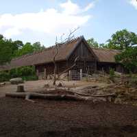 Skansen: Stockholm’s Timeless Window to Swedish Culture