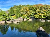 Spring Wanders in Koko-en Garden