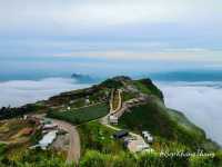 ทะเลหมอกภูทับเบิก จ.เพชรบูรณ์