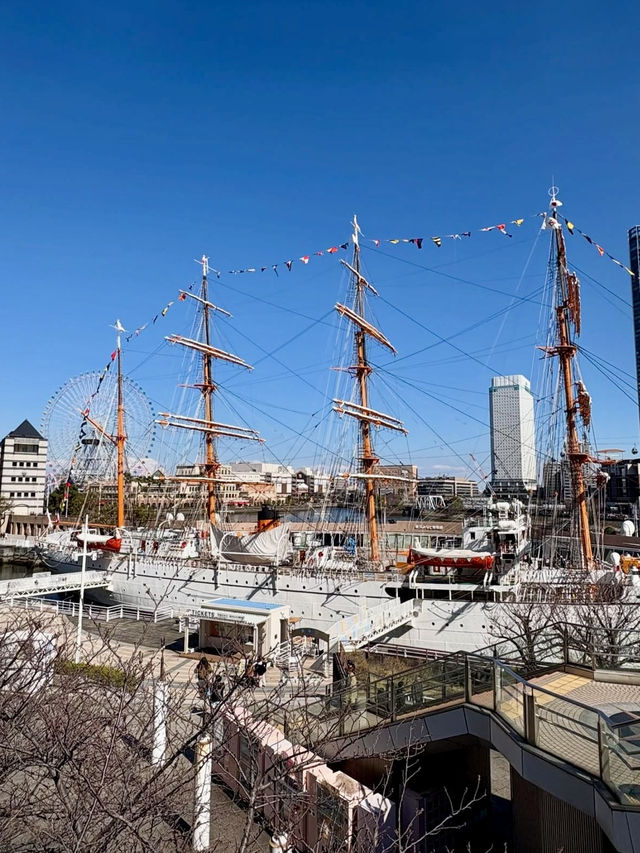 A Day of Art & City Strolls in Yokohama 🎨✨