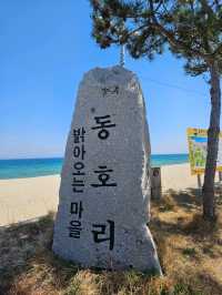 아름다운 바다와 그네가 있는 동호해변 완벽한 야외 데이트 장소입니다