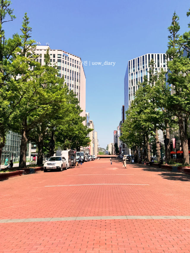 여름, 삿포로! 아카렌카 테라스부터 빙수, 도청 즐기기 ☀️🌻🕶️