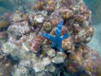 Discovering Marvel Islands with its Sea Gypsies 