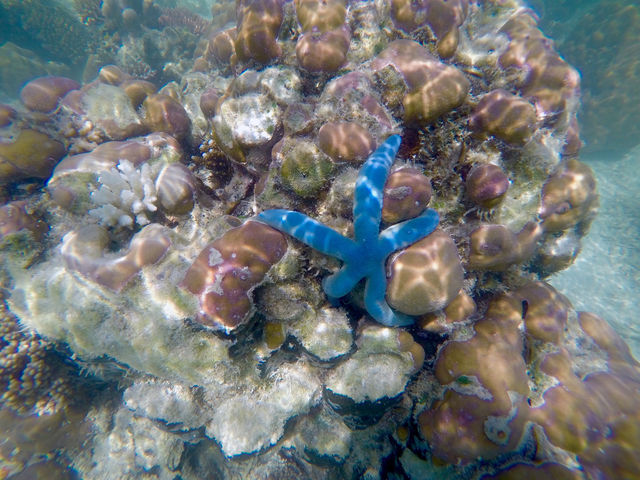 Discovering Marvel Islands with its Sea Gypsies 