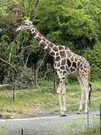 大阪天王寺動物園