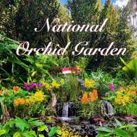 【🇸🇬Singapore】Nature Date at the National Orchid Garden – for Free! 🌸✨