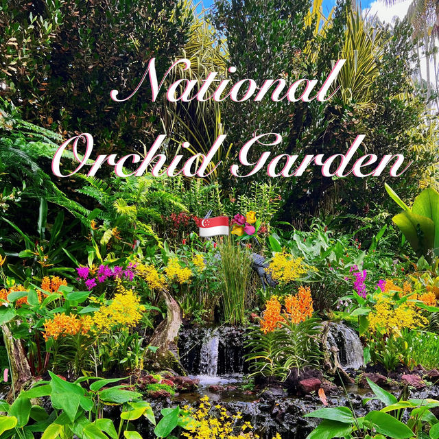 【🇸🇬Singapore】Nature Date at the National Orchid Garden – for Free! 🌸✨