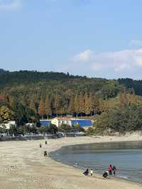 🏖️✨ 만성리해수욕장 (ชายหาดมันซองรี)