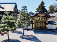 【鎌倉】ゆったりおさんぽ・寺社と食巡り旅