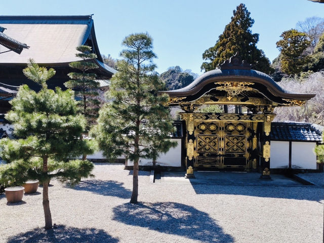 【鎌倉】ゆったりおさんぽ・寺社と食巡り旅