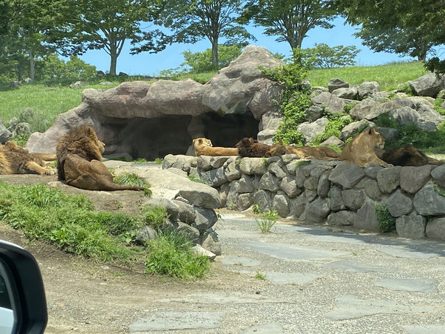 韓国人家族と行く福岡旅行✈️