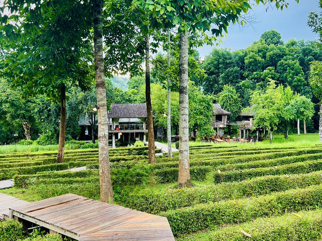 Veranda Chiang Mai – Where Luxury Meets the Lush Hills