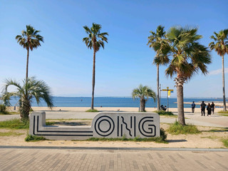 Sen'nan Rinku Park: A Great Spot for a Stroll Near Kansai Airport