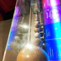 Australian Museum – Sydney, NSW