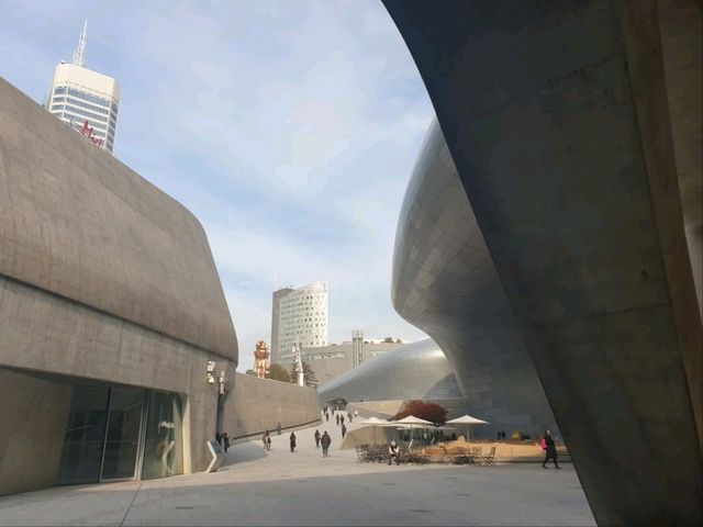 DDP 동대문 DESIGN PLAZA