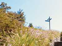 Namsan Baekbeom Square: A Historical and Scenic Urban Oasis