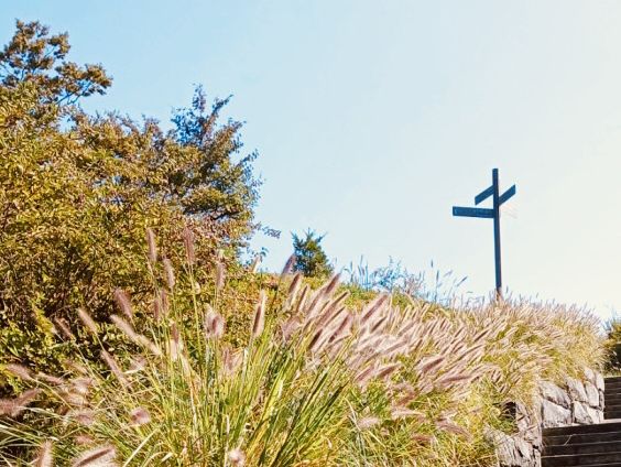 Namsan Baekbeom Square: A Historical and Scenic Urban Oasis